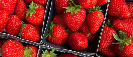 Recommandations du Marchand - 30 avril