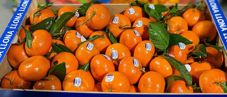 Recommandations du Marchand - 25 février