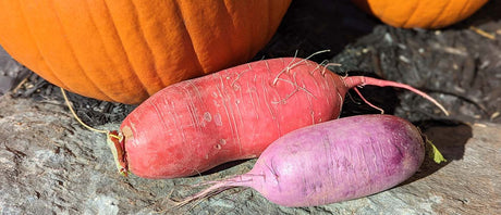 Recommandations du Marchand - 23 octobre