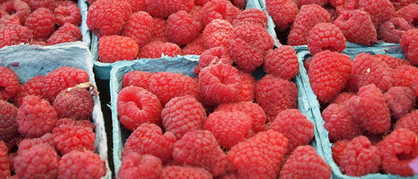 Recommandations du Marchand - 18 juin