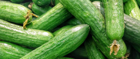 Recommandations du Marchand - 17 septembre