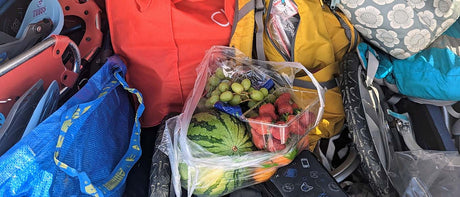 Recommandations du 4 mars