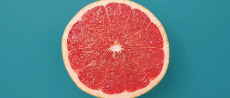 Recommandations 29 janvier