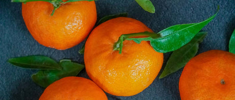 Recommandations du Marchand - 14 janvier