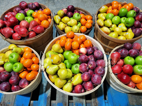 Fruits - Entreprises