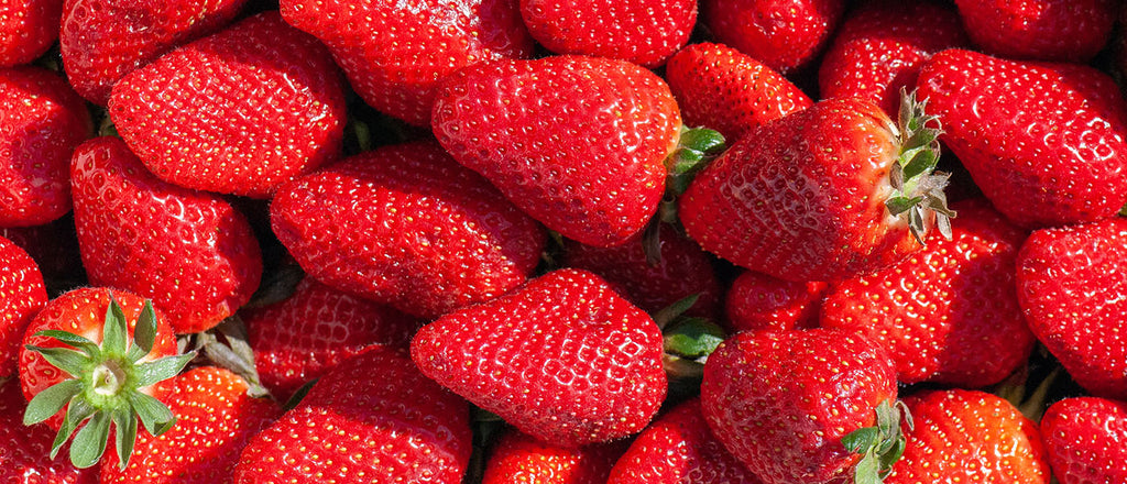 La saison des fraises!