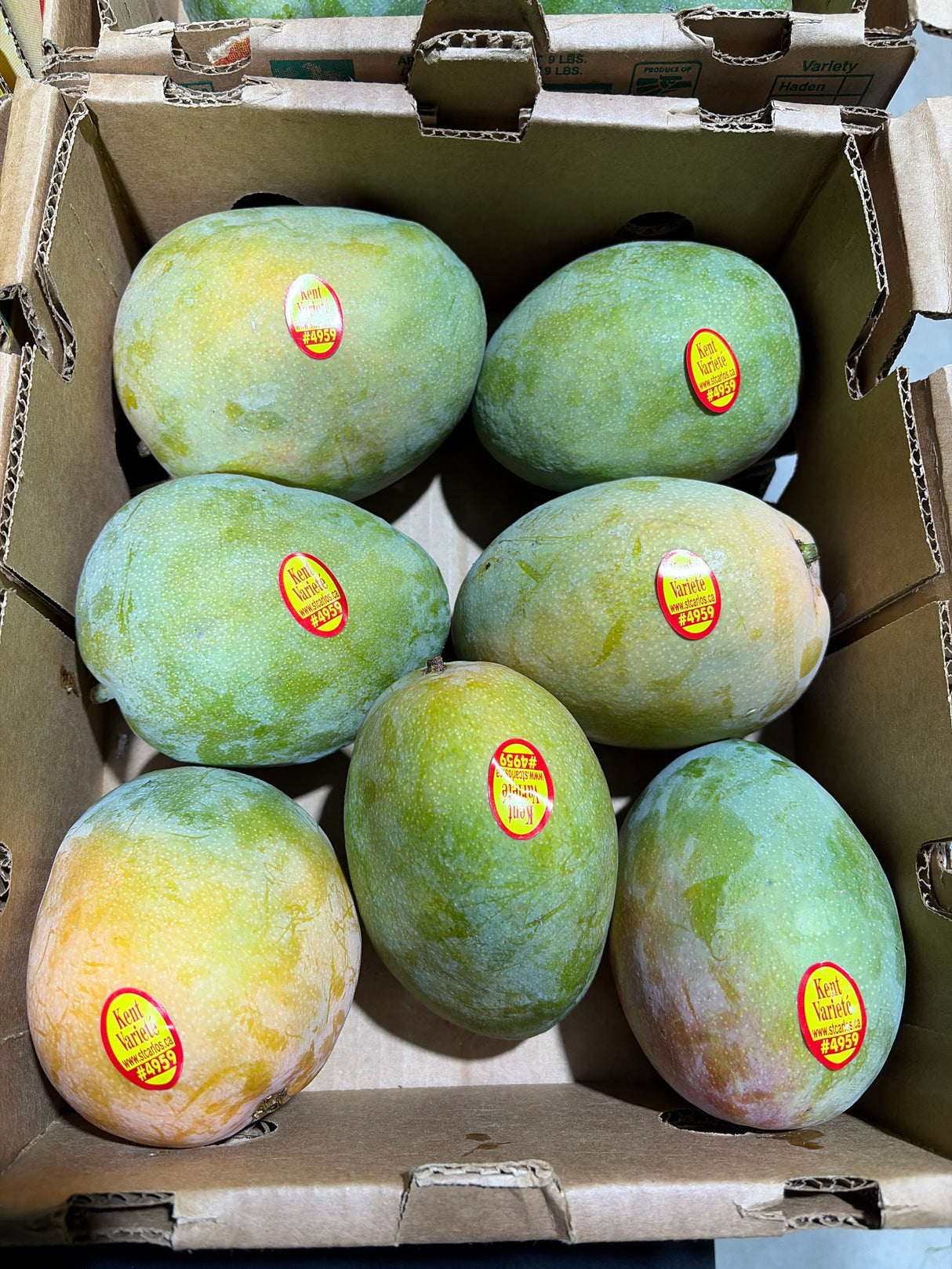 Mangue NAM DOK MAÏ - Caisse complète