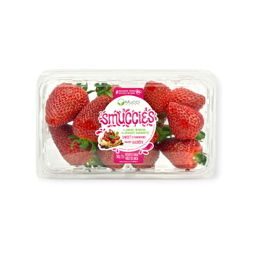 Fraises Grosses de serre - 340g (2)