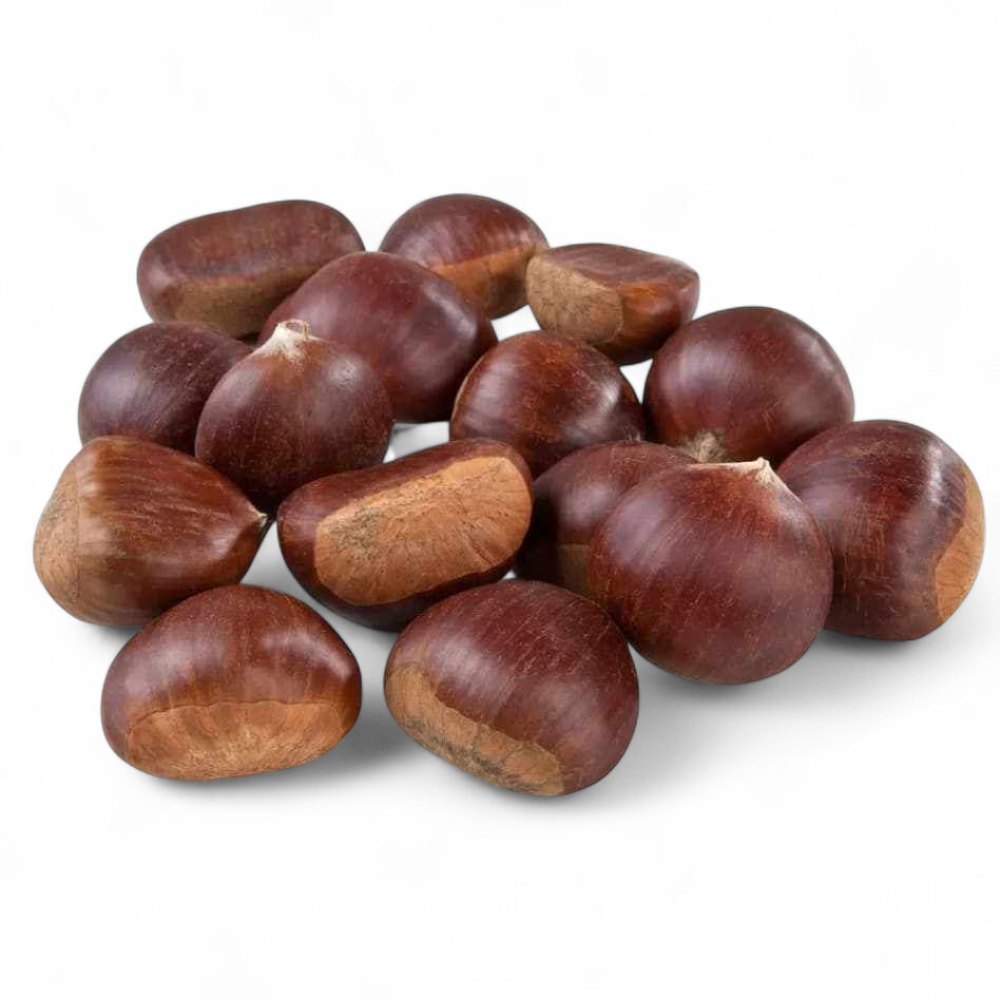 Marrons frais Gros Calibre