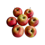 Pomme ROSINETTE