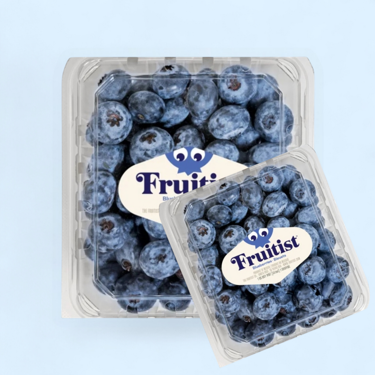 Bleuets Croquants & Sucrés - 170g (2)