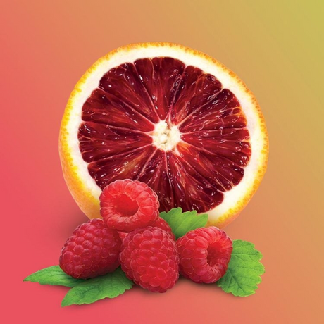 Orange sanguine JUMBO