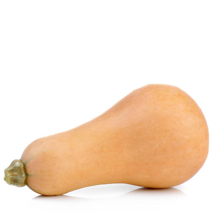 Courge Butternut Moyenne