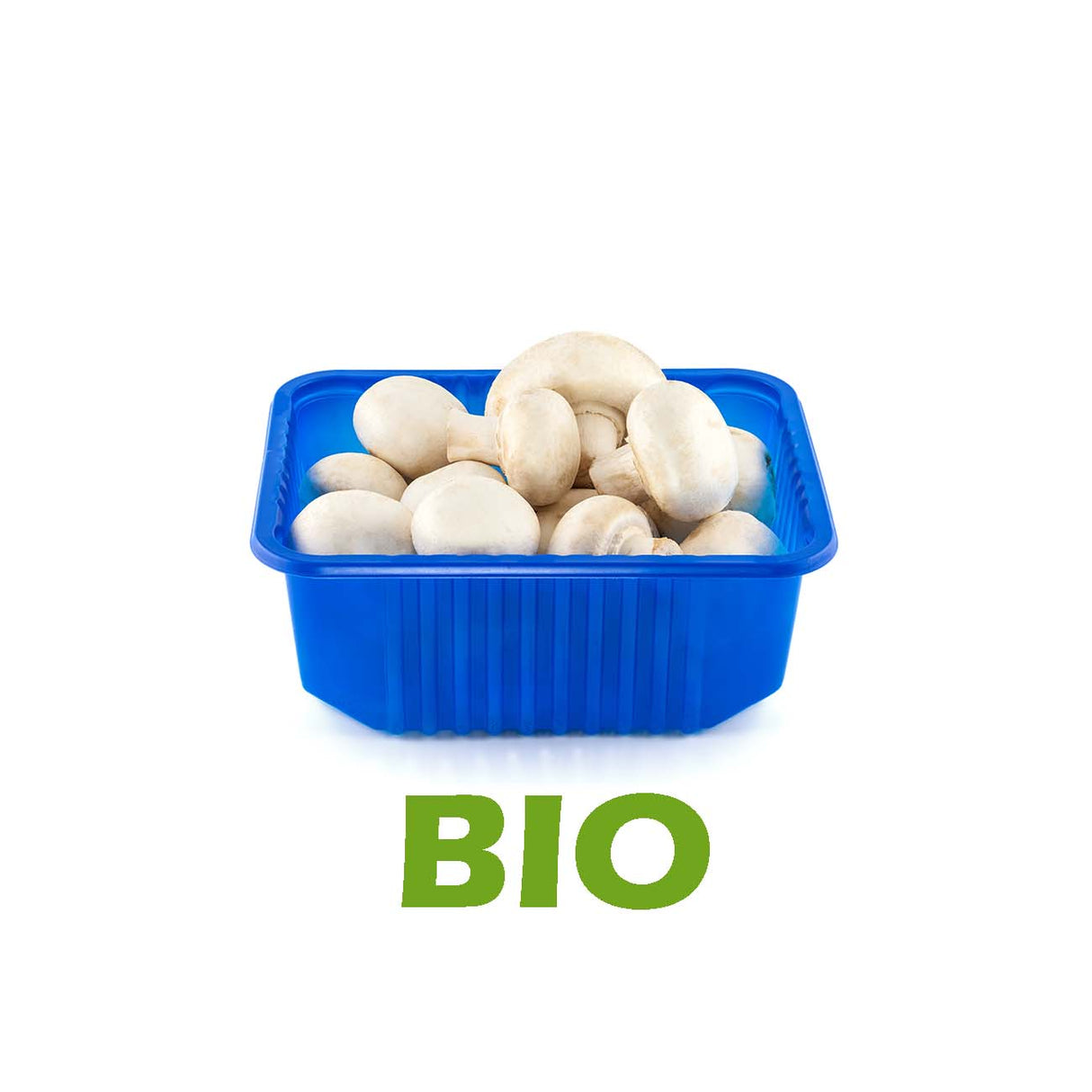 Champignons blancs BIO - 8oz