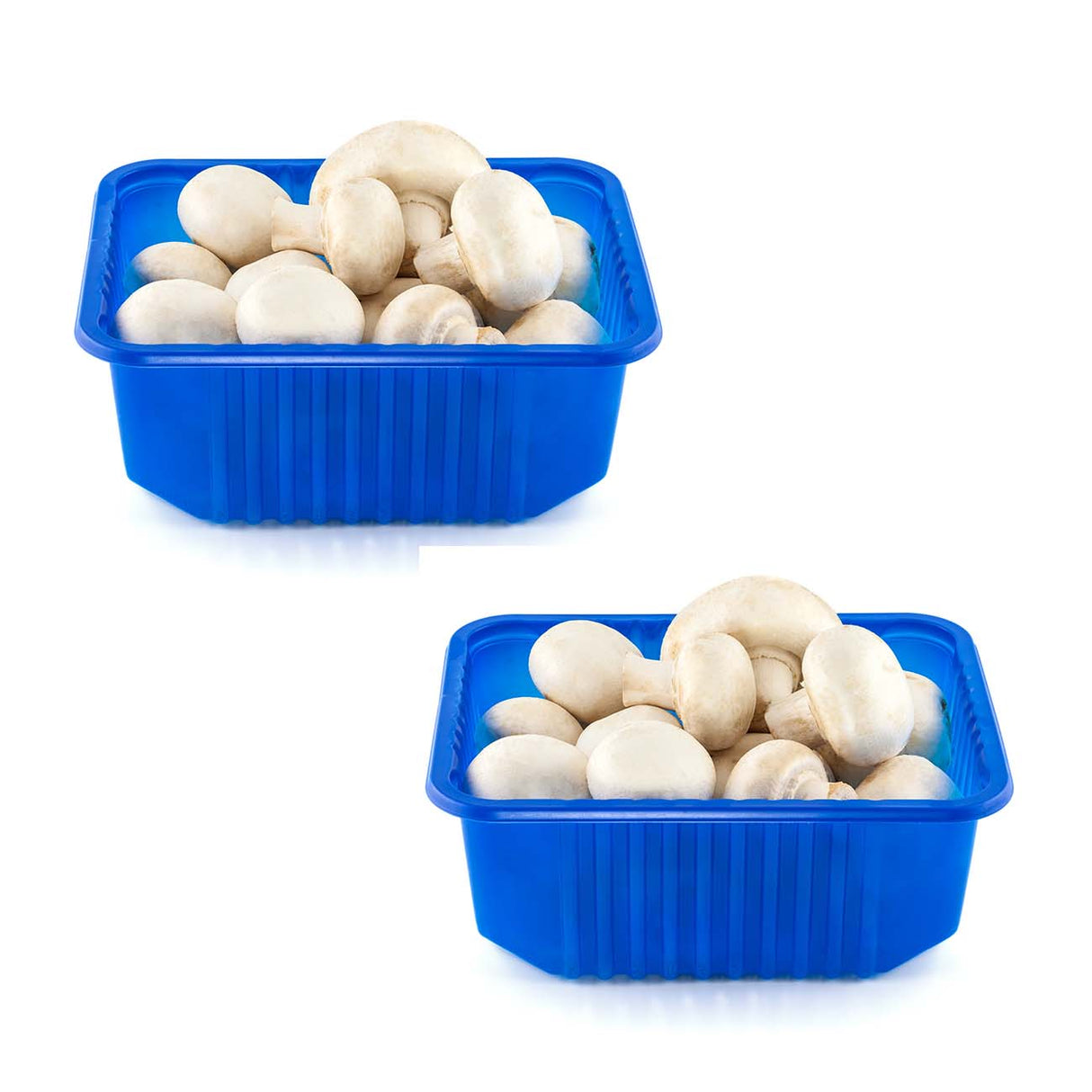 Champignons blancs - 8oz (2)