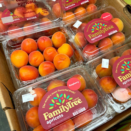 Abricots frais petit