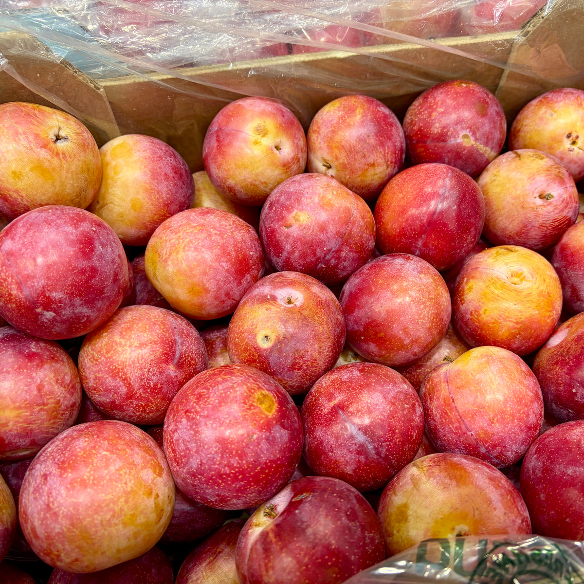 Prunes ROUGES