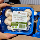Champignons BIO 8oz *LIQUIDATION*