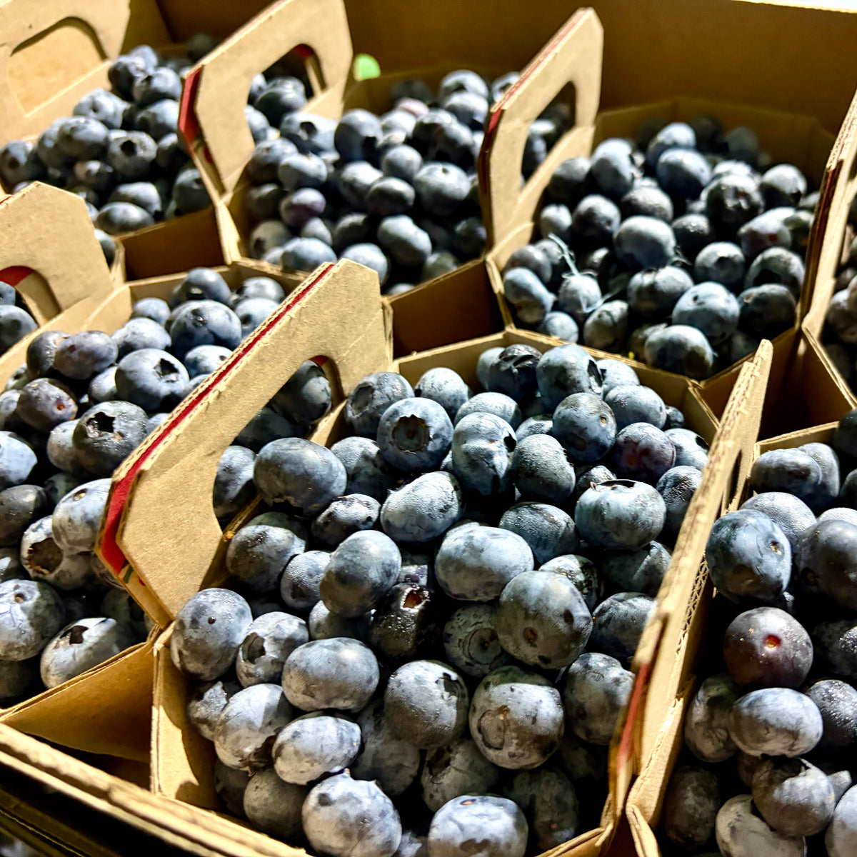 Bleuets locaux - Panier 500ml