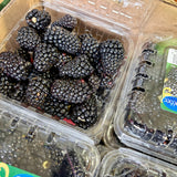 Mûres du Québec - 170g
