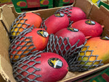 Mangue Palmer