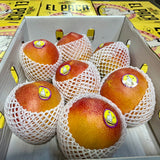 Mangue KENT *Cueillie à maturité*