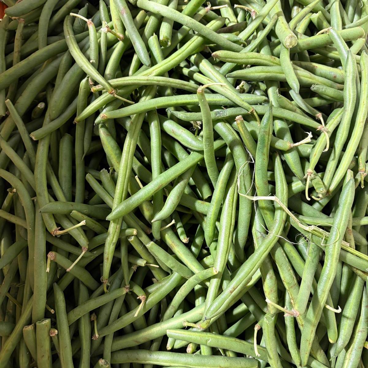 Haricots verts - 2lb *Imparfaits*