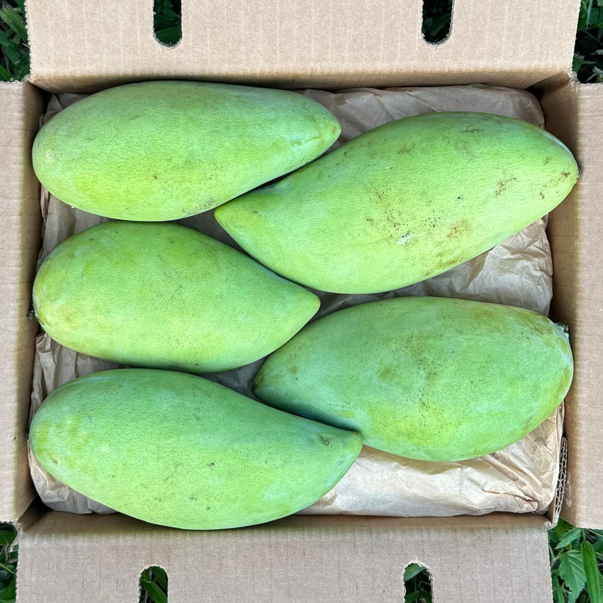 Mangue NAM DOK MAÏ - Caisse complète