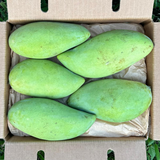 Mangue NAM DOK MAÏ - Caisse complète