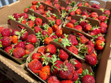 Fraises de champs #2 - VENTE RAPIDE - Crate complet (10)