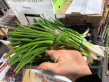 Oignons verts #2