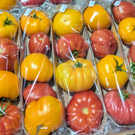 Tomate ancestrale JUMBO