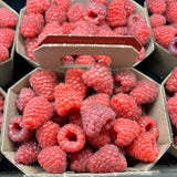 Framboises sous tunnel - Panier