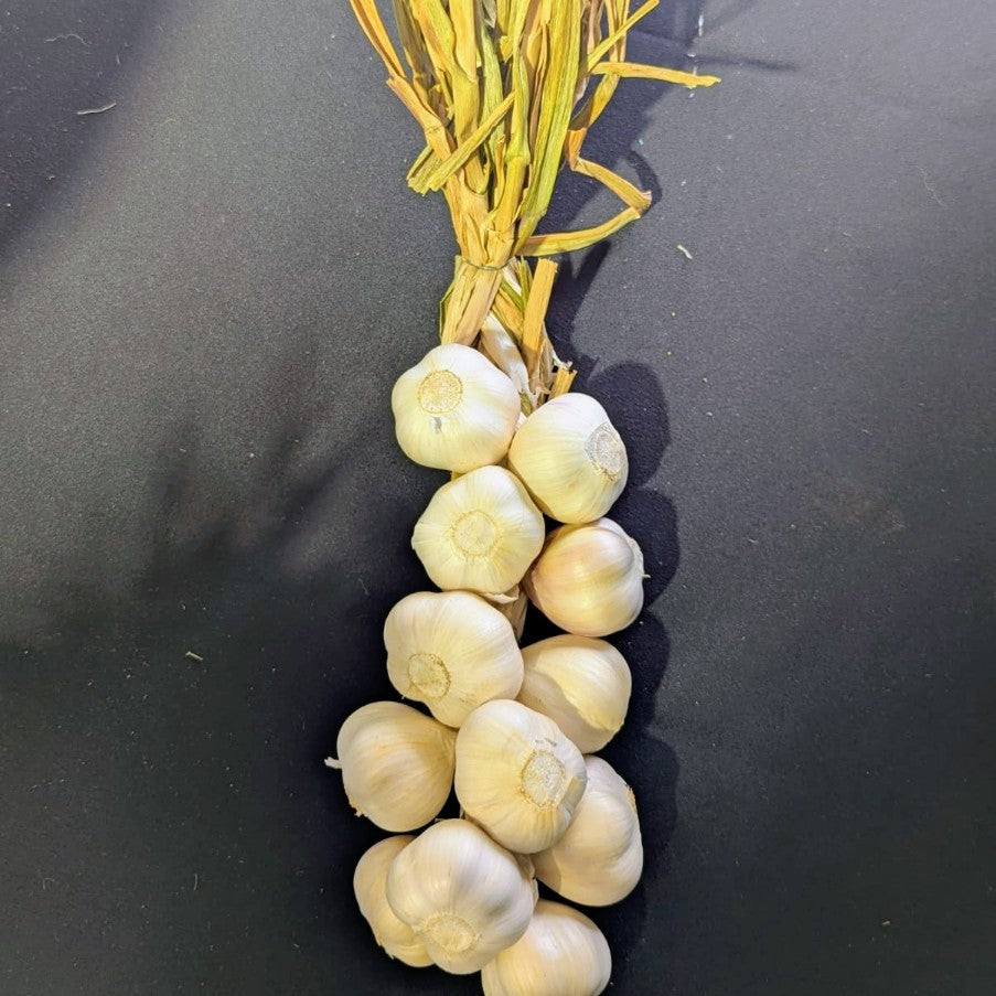 Ail petite - Tresse