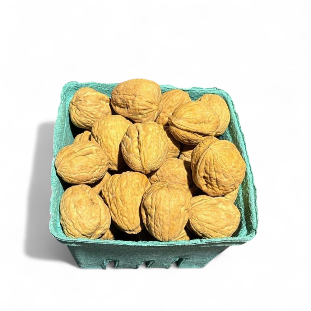 Noix Grenoble fraîches - Sac 1lb