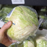 Laitue iceberg Petite