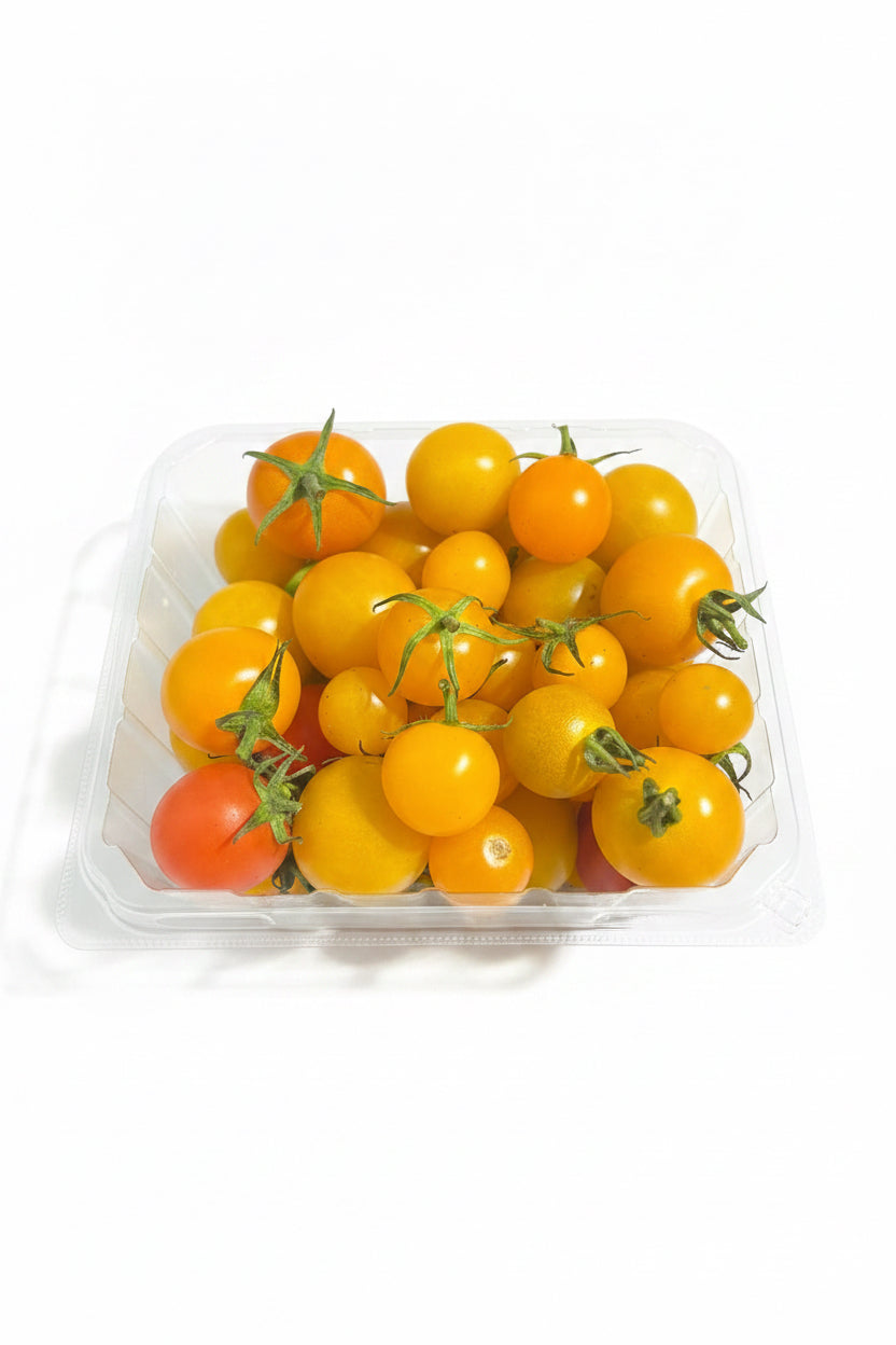 Tomates cerises Mystic