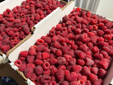 Framboises - CRATE COMPLET