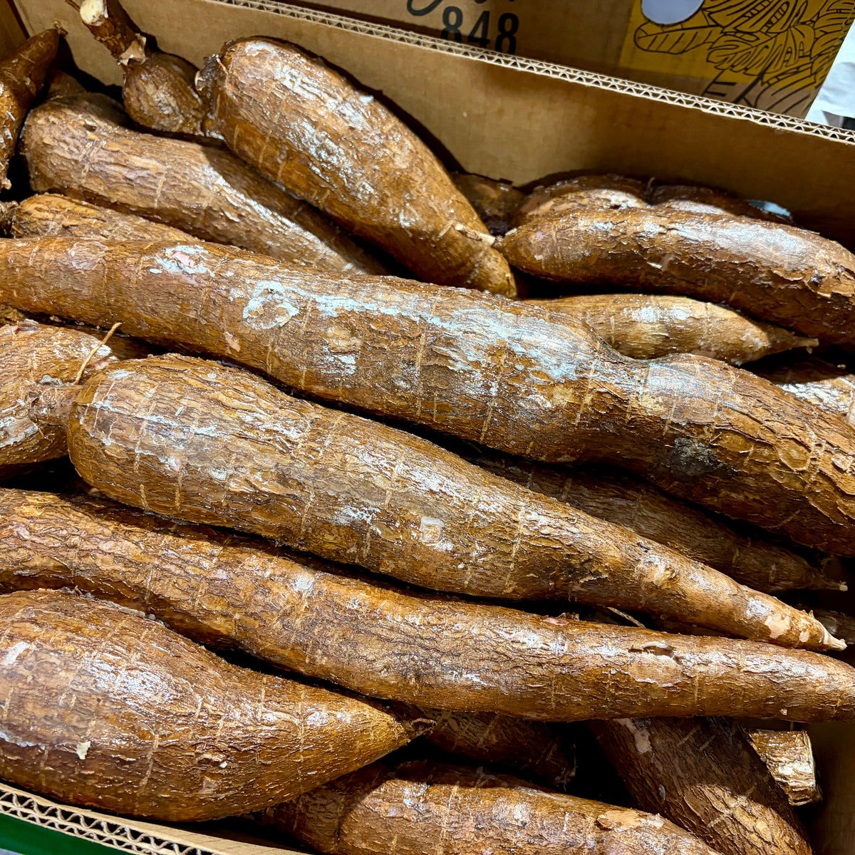 Yucca Racine - 1kg