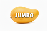 Mangue Ataulfo JUMBO