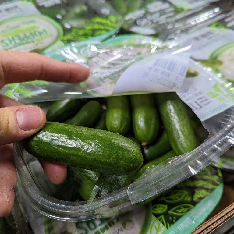 Concombres mini - 454g