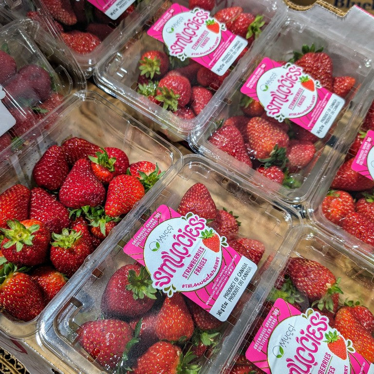 Fraises Grosses de serre - 340g (2)