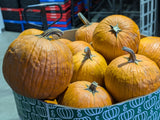 Citrouille moyenne *Imparfaite*