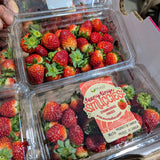 Fraises Grosses de serre - 340g (2)