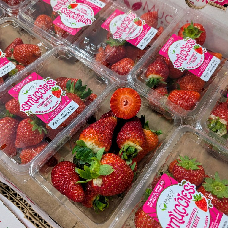 Fraises Grosses de serre - 340g (2)
