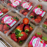 Fraises Grosses de serre - 340g (2)