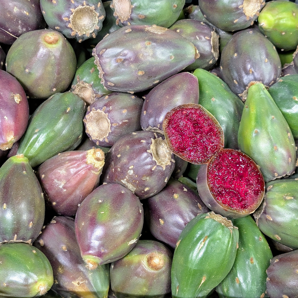 Poire Cactus rouge petite