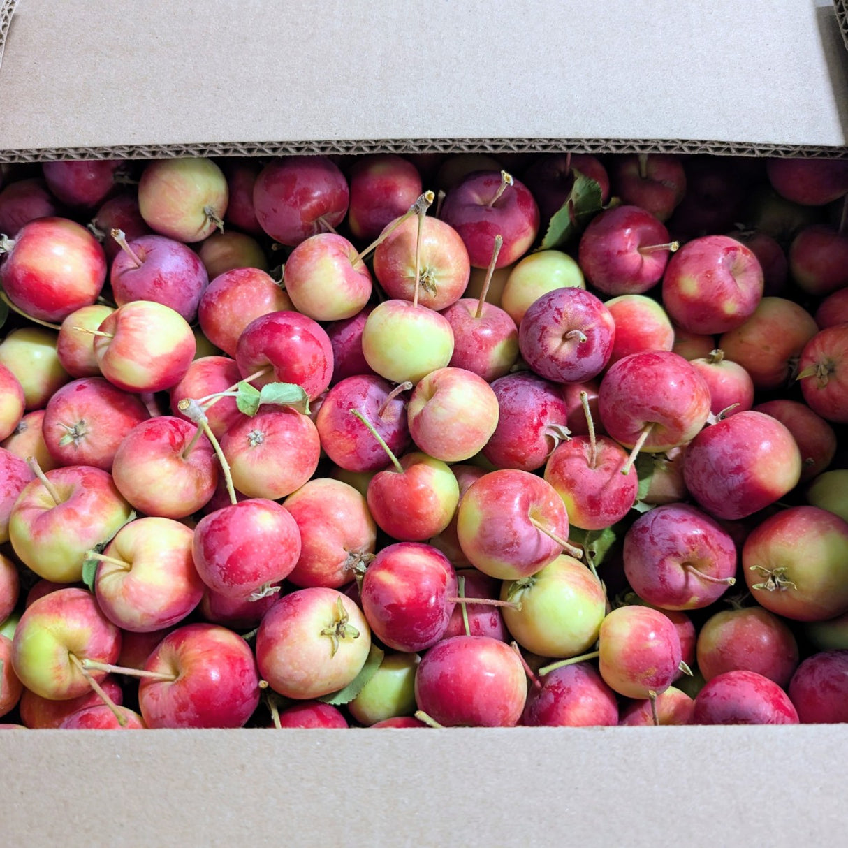 Pommettes - Sac 5lb