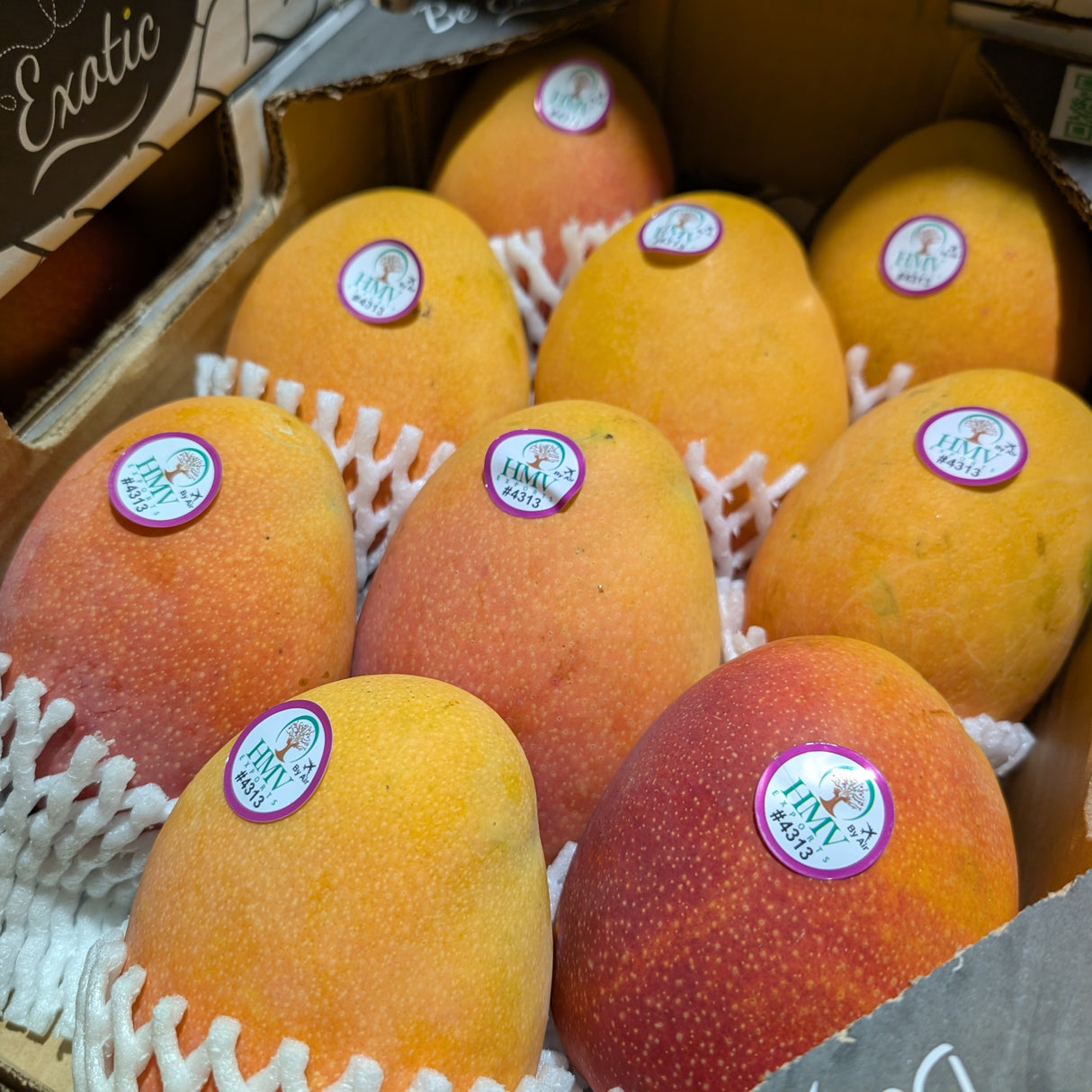 Mangue "Apple" - Cueillie à maturité