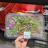 Micro pousses - Mix d'la semaine - 200g